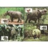 Indonezja 1996, WWF: nosorożec. Karty maksimum