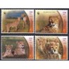 Iran 2003, WWF: gepard **