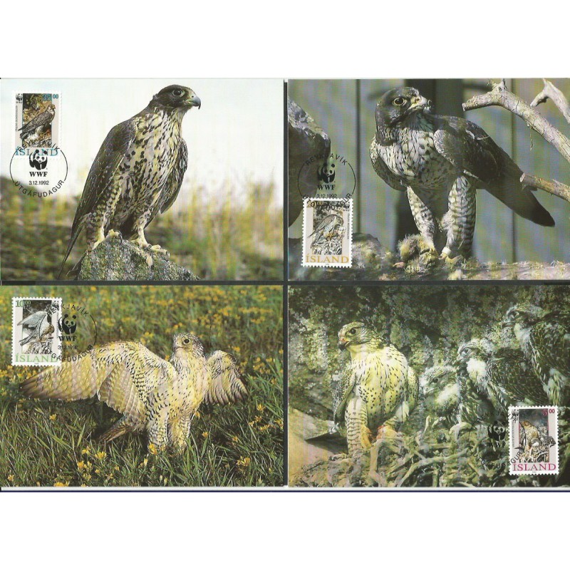 Islandia 1992, WWF: ptak sokół białozór. Karty maksimum