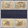 Jemen 1989, WWF: kot pustynny **