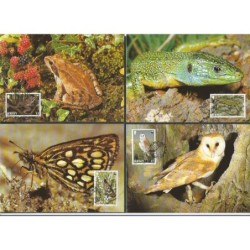 Jersey 1989, WWF: sowa motyl jaszczurka żaba. Karty maksimum