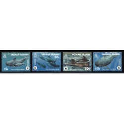 Kajmany 2003, WWF: grindwal **