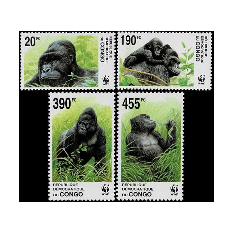 Kongo 2002, WWF: małpa **