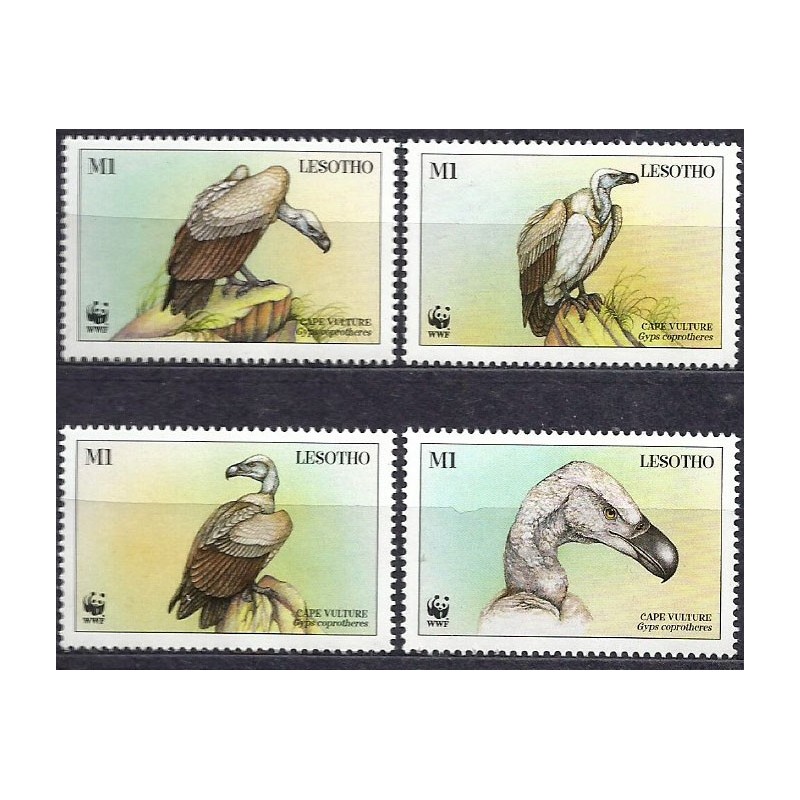 Lesotho 1998, WWF: ptak sęp przylądkowy **