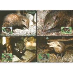 Liberia 1998, WWF: mangusta. Karty maksimum