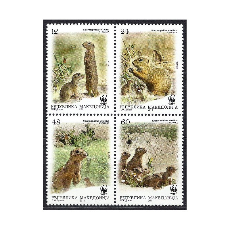 Macedonia 2011, WWF: wiewiórka **