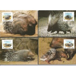 Mali 1998, WWF: jeżozwierz afrykański. Karty maksimum
