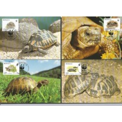 Monako 1991, WWF: żółwie. Karty maksimum