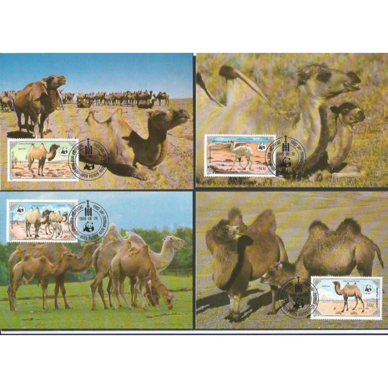Mongolia 1985, WWF: wielbłądy. Karty maksimum