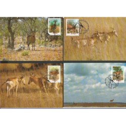 Mozambik 1991, WWF: ssak bawolec. Karty maksimum
