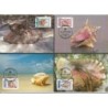 Nevis 1990, WWF: muszle, skorupiaki. Karty maksimum