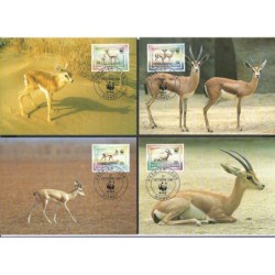 Niger 1998, WWF: gazela. Karty maksimum