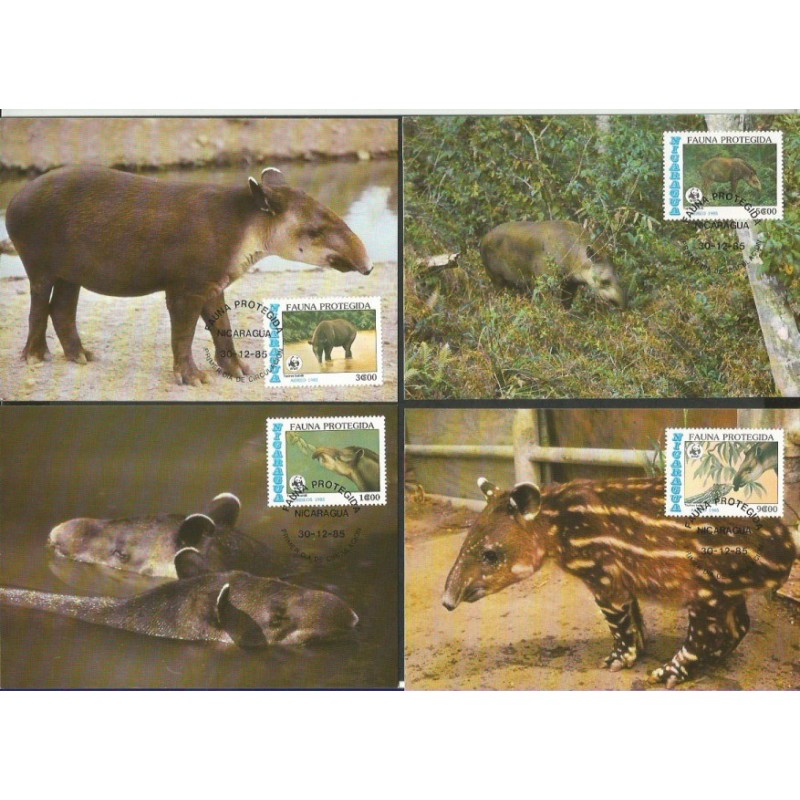 Nikaragua 1985, WWF: tapir. Karty maksimum