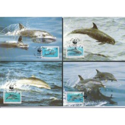 Niue 1993, WWF: delfin. Karty maksimum