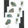 Niue 2002, WWF: małże. FDC
