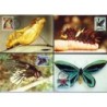 Papua Nowa Gwinea 1988, WWF: motyle. Karty maksimum