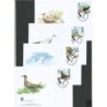 Wyspa Pitcairn 2007, WWF: ptaki, mewy. FDC
