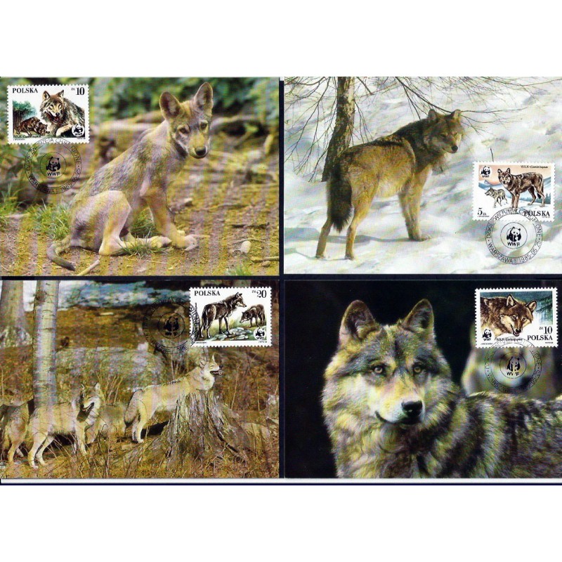 Polska 1985, WWF: wilki. Karty maksimum. Fi 2827-30