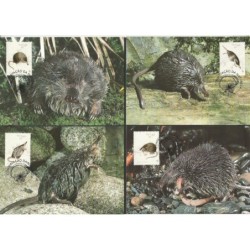 Portugalia 1997, WWF: kret. Karty maksimum