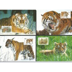 Rosja 1993, WWF: tygrys. Karty maksimum