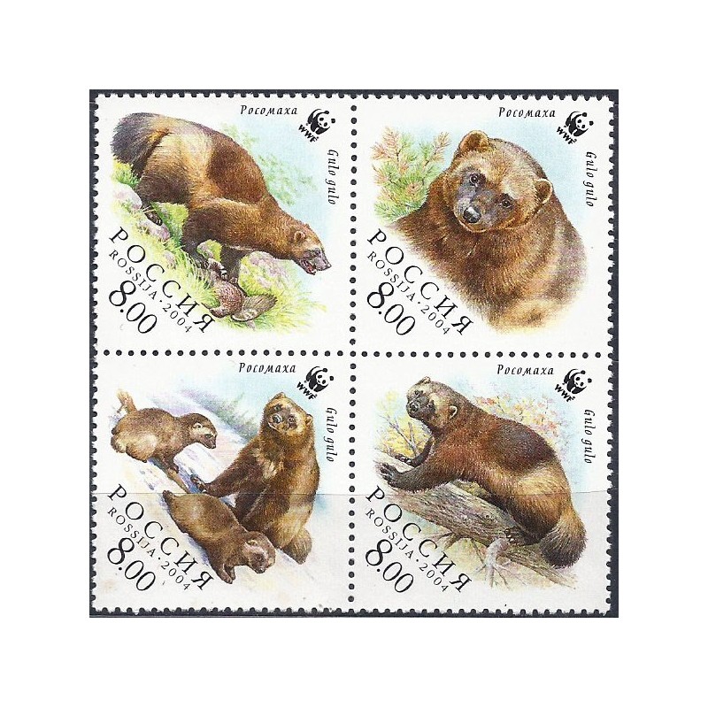 Rosja 2004, WWF: rosomak **