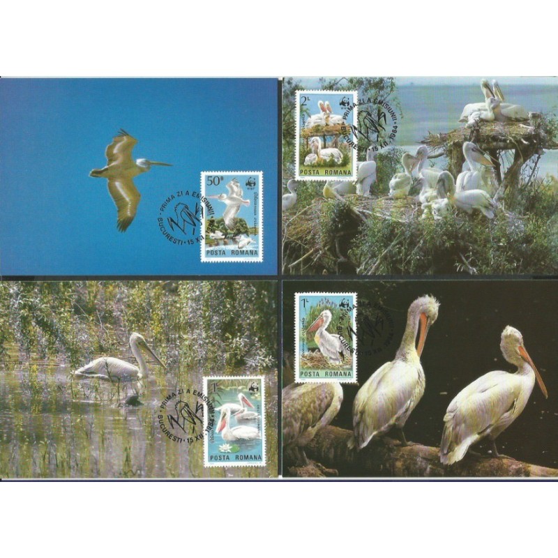 Rumunia 1984, WWF: ptak pelikan. Karty maksimum