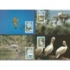 Rumunia 1984, WWF: ptak pelikan. Karty maksimum