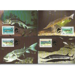 Rumunia 1994, WWF: ryby. Karty maksimum