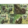 Rwanda 1985, WWF: małpy. Karty maksimum