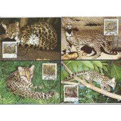 Salwador 1988, WWF: kot ocelot. Karty maksimum