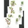 Seszele 1996, WWF: ptaki. FDC