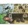 Sierra Leone 1983, WWF: małpy. Karty maksimum