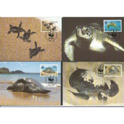 St Kitts 1995, WWF: żółwie. Karty maksimum
