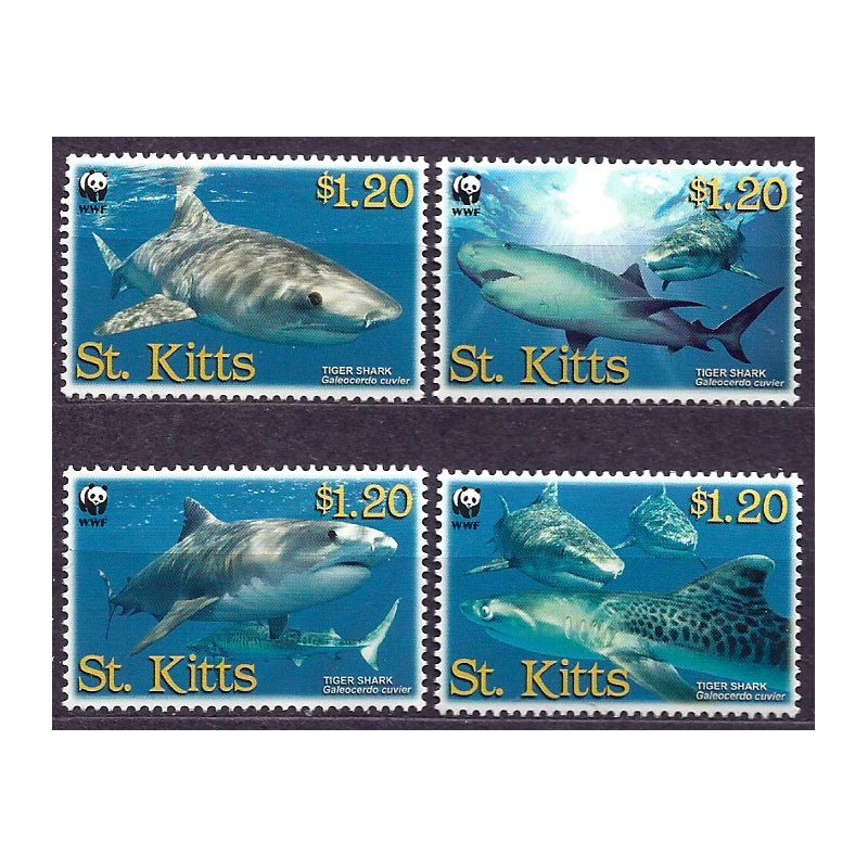 St Kitts 2007, WWF: ryba rekin **