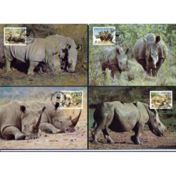 Suazi 1987, WWF: nosorożec. Karty maksimum
