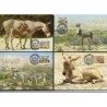 Sudan 1994, WWF: osioł. Karty maksimum
