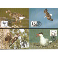 Szwecja 1994, WWF: ptaki. Karty maksimum. SŁANIA