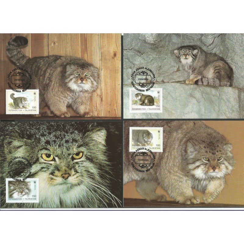 Tadżykistan 1996, WWF: kot manul. Karty maksimum