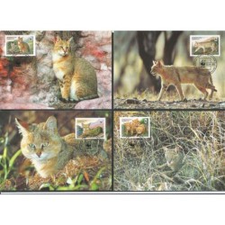 Tadżykistan 2002, WWF: kot błotny. Karty maksimum