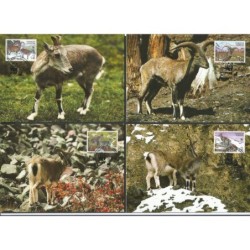 Tadżykistan 2005, WWF: wół nahur górski. Karty maksimum