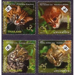Tajlandia 2011, WWF: koty, tygrysy **