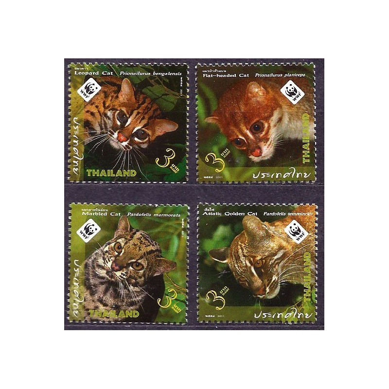 Tajlandia 2011, WWF: koty, tygrysy **