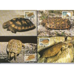 Tanzania 1993, WWF: żółw. Karty maksimum