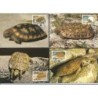 Tanzania 1993, WWF: żółw. Karty maksimum