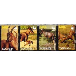 Tanzania 2006, WWF: topi **