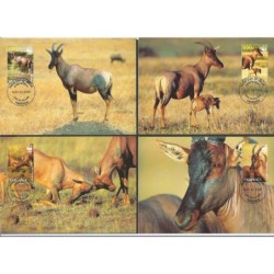 Tanzania 2006, WWF: topi. Karty maksimum
