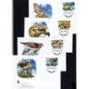 Turks i Caicos 2007, WWF: ptak myszołów. FDC