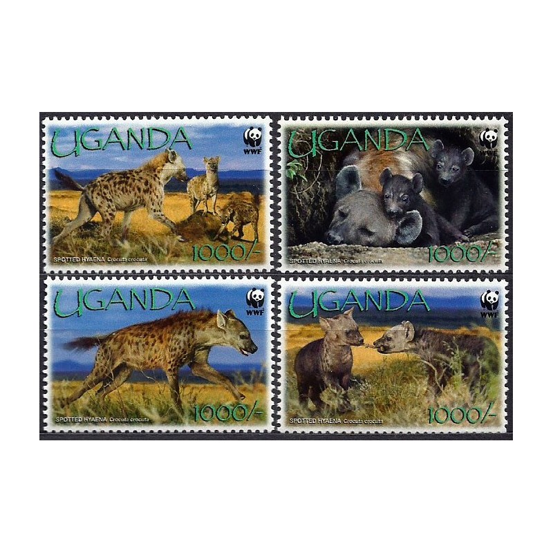 Uganda 2008, WWF: hiena **