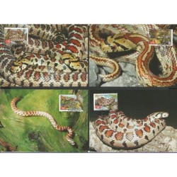 Ukraina 2002, WWF: wąż. Karty maksimum