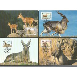 Uzbekistan 1995, WWF: koza śruboroga. Karty maksimum